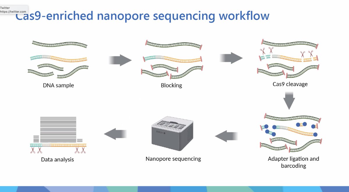 So how is Cas9 integrated into nanopore sequencing? This integration takes advantage of the speed and discriminatory power of nanopore sequencing and the specificity and flexibility of Cas9 #MicroSeq2022