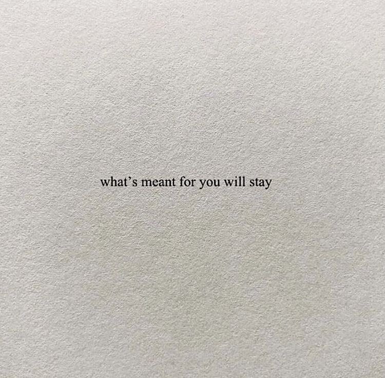 books 📖 tweet media