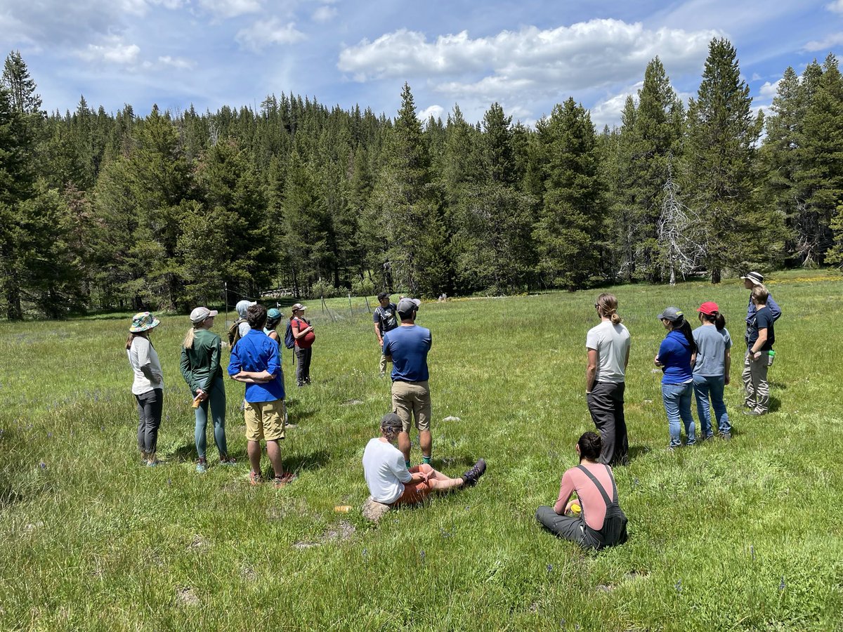 NV_Mtn_Ecohydro's tweet photo. I will be recruiting a PhD student and postdoc to start in 2023 (some flexibility).  My students are generally in the Hydrology program @NevadaWater. I have lots of really cool projects and collaborators that need your help #NSFfunded https://t.co/hTEbMxtioo