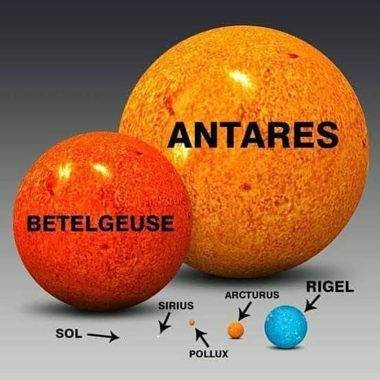 RincnCuriosoo's tweet photo. El sol parece un solo pixel en comparación con algunas de las estrellas más grandes del Universo. https://t.co/2lscbDflfJ