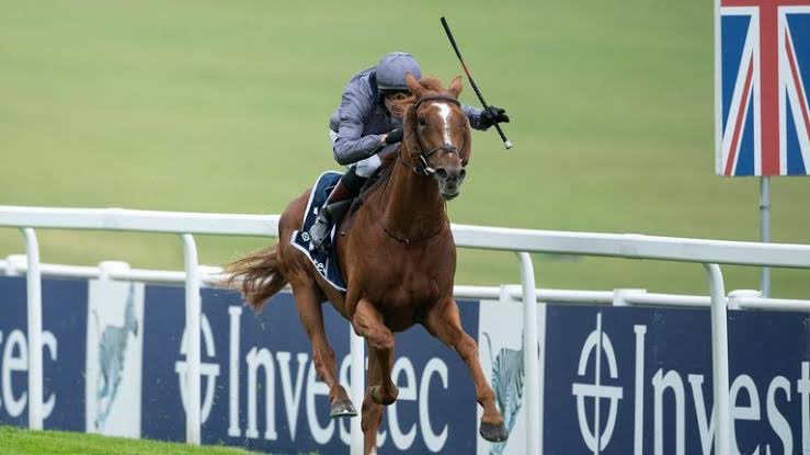 TeamWilliamsFan's tweet photo. After Tuesday’s first acceptances Team Williams have 7 horses still in contention for the Melbourne Cup, with POINT KING and POINT NEPEAN looking the most likely challengers with 2020 Epsom Derby winner SERPENTINE the most intriguing Spring entry #CupWatch https://t.co/kOJSJDxEXf