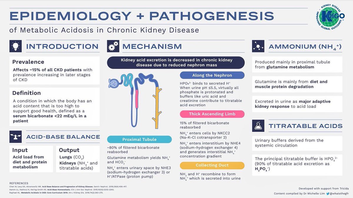 NutrioSci's tweet photo. Metabolic acidosis in Chronic Kidney Disease 

@goKDIGO @BrownJHM #BJHM #MedEd #Medtwitter #FOAMed #CKD #Nephpearls #Renal #ClinicalPearl #Clinicaltips #medstudenttwitter #Medstudents https://t.co/R8IHe7fSyy