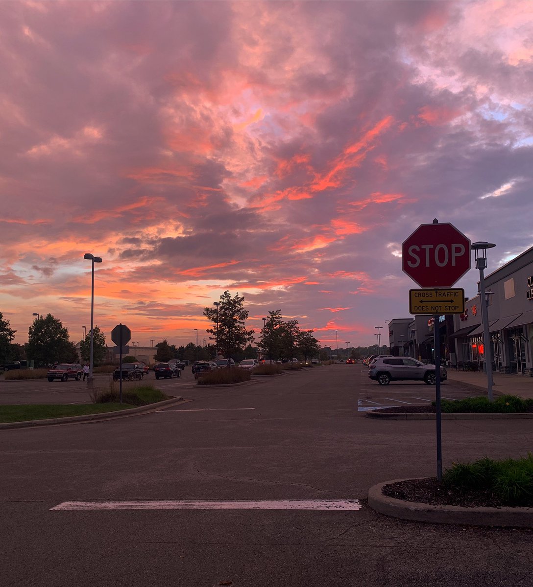 Anytime in the past, when someone asks me what my dream job would be if money didn’t matter, I always say a photographer. It has always been something I have been drawn towards and eventually I said “Why don’t I just do it??”. I hope this page helps that dream 📸📸