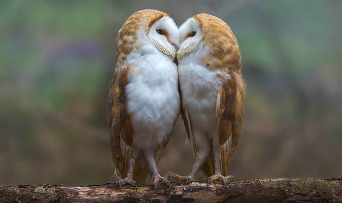fleur_de_LA's tweet photo. Together we're one heart.❤️ #SentimentalIn5WordsOrLess https://t.co/wRk8K7R2t4