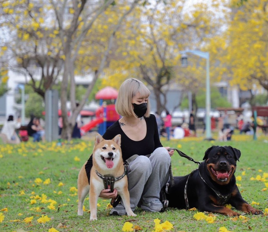 Ruby18038516's tweet image. While you still have time, do your best to do what you most want to do, be the kind of person you most want to be, and live the kind of life you want to live the most. The world is always more exciting than you think, don't lose to life.😊😊