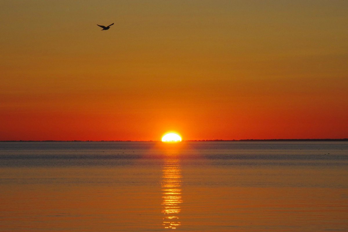 barb_anello's tweet photo. Last night's sunset over #LakeNipissing ― North Bay, ON  🇨🇦

#JustNorthEnoughToBePerfect 

📷 Keith Campbell https://t.co/sjsDaRdERO