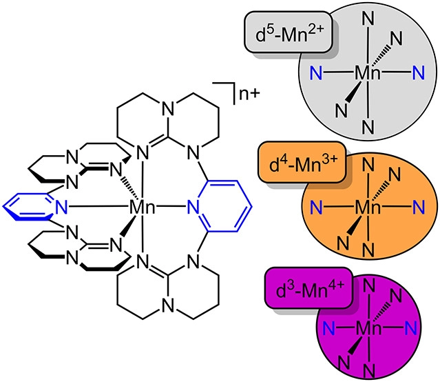bhkenlo's tweet photo. The Full d3–d5 Redox Series of Mononuclear Manganese Complexes: Geometries and Electronic Structures of [Mn(dgpy)2]n+ https://t.co/cQd3WC4LIf @LabHeinze &amp; co-workers @InorgChem #manganese #II #III #IV #MnN6 #dgpy #push_pull #JahnTeller #LMCT #panchromatic_absorption #OxideAnalogs https://t.co/n1RGmAJ6CP