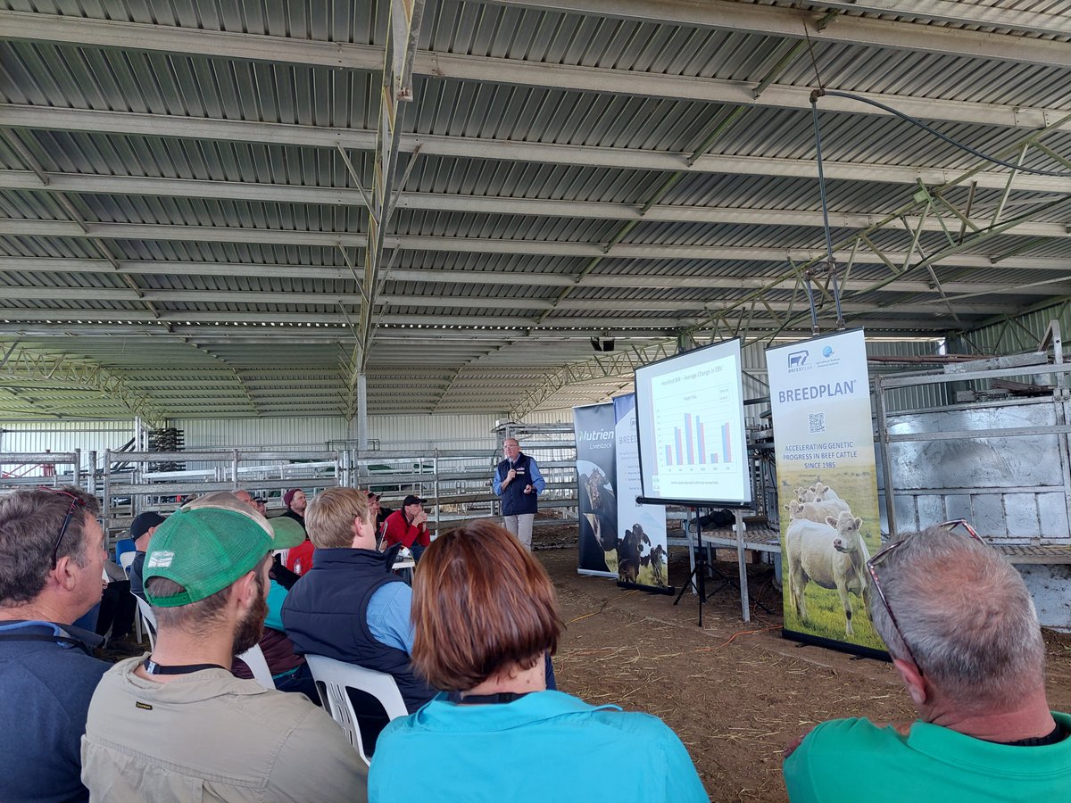 SBTSTBTS's tweet photo. Last month #SBTSTBTS were in WA to deliver 4 #BullSELECT workshops to nearly 200 attendees. Thanks to Western Beef Association @JeisaneAccioly for inviting us to present and to Allegria Park Angus, Tullibardine Angus, Liberty Charolais &amp; Shorthorn and Bardoo Charolais for hosting https://t.co/FLfxRBM3Ix