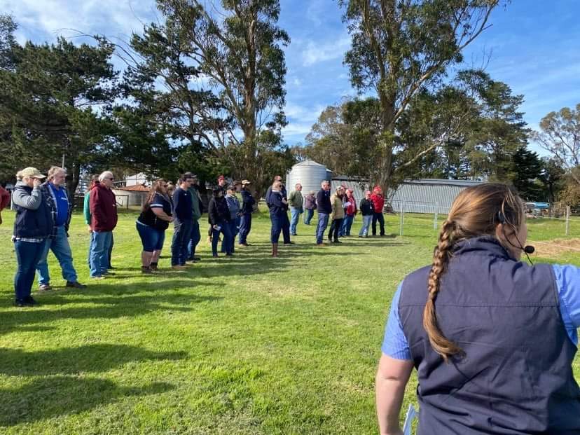 SBTSTBTS's tweet photo. Last month #SBTSTBTS were in WA to deliver 4 #BullSELECT workshops to nearly 200 attendees. Thanks to Western Beef Association @JeisaneAccioly for inviting us to present and to Allegria Park Angus, Tullibardine Angus, Liberty Charolais &amp; Shorthorn and Bardoo Charolais for hosting https://t.co/FLfxRBM3Ix