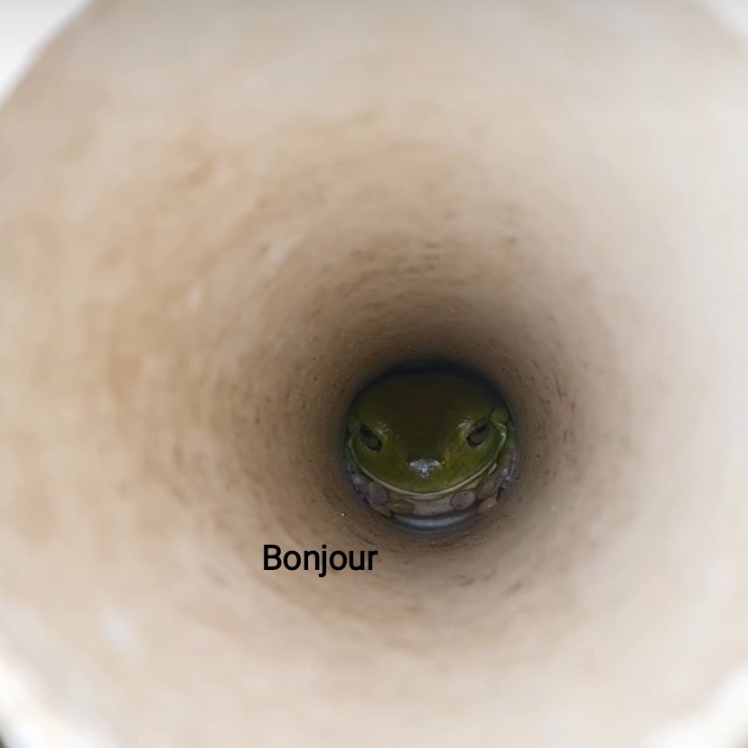 missfrog93's tweet photo. @frogofthe Looks like the bonjour meme
I made a little edit https://t.co/cjLFCMNgXz