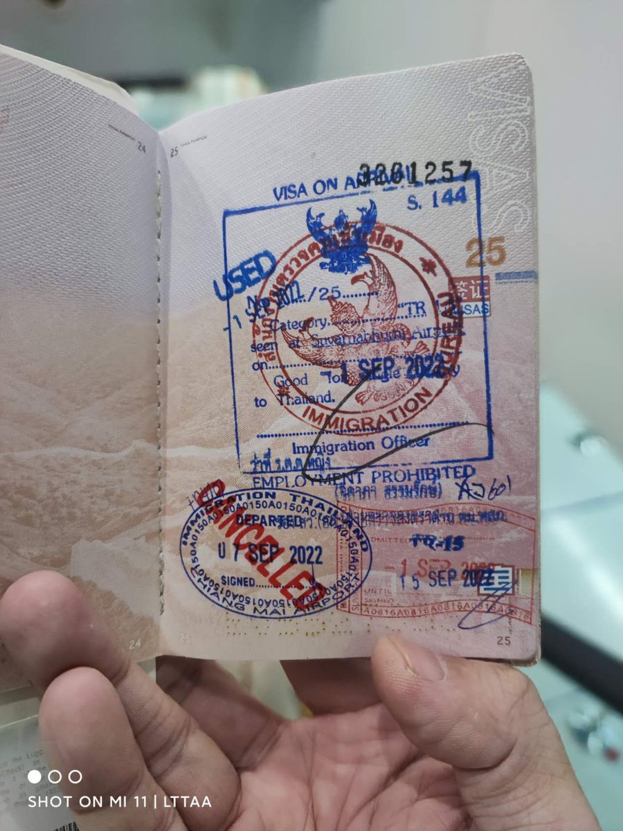 零零發 tweet media