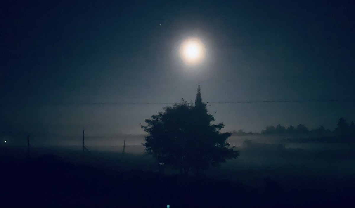 sarahmwgilbert's tweet photo. Good night
#DeckViews #Spooky #LesHautesLaurentides https://t.co/7aqtvBXr98