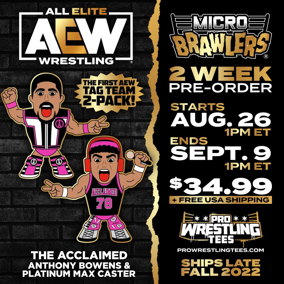 Pro Wrestling Tees - Wave 4 Micro Brawlers ™ release individually today on  ProWrestlingTees.com. Bundles to ship today. If you like collecting Micro  Brawlers ™, there is an exclusive figure in every