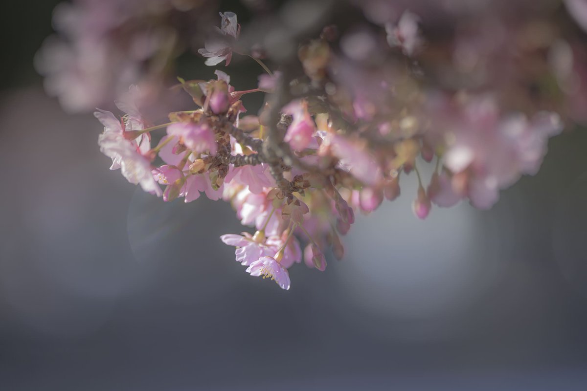 isumu.eth🌻NFTphotographer tweet media