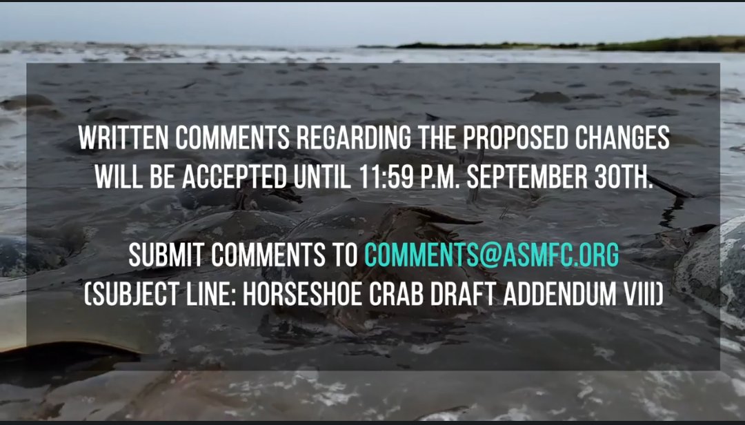 The time is now to comment on the proposed changes to the current Horseshoe Crab Management Plan.

To register for a public hearing, visit register.gotowebinar.com/rt/55802704257…

Act how to save the horseshoe crab and red knot.