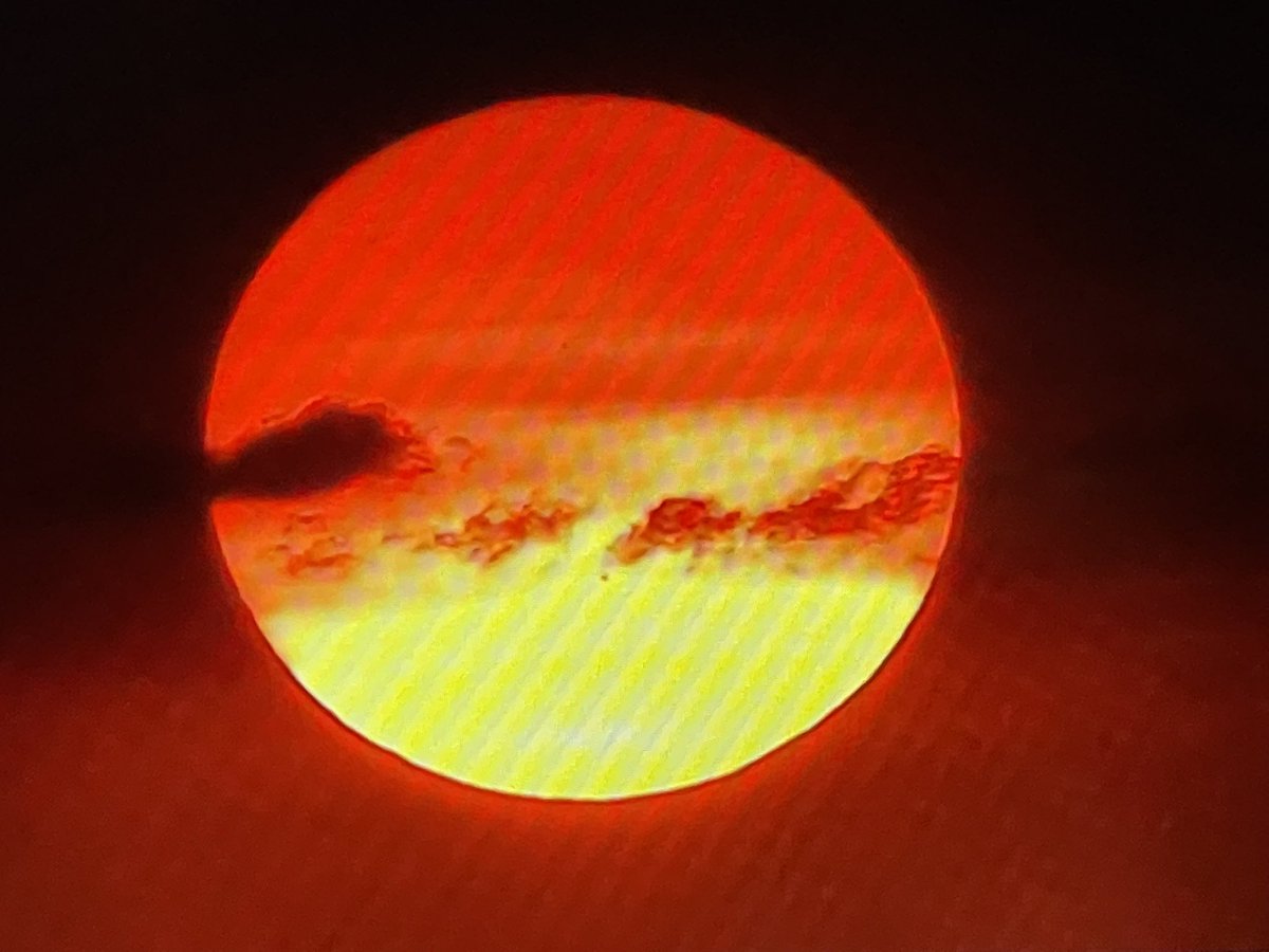 Todd Griffithe tweet media