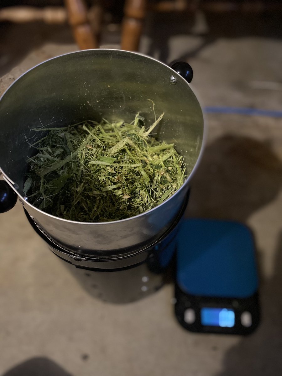 Kinda like watching paint dry. #silage22 #letsgetchopping