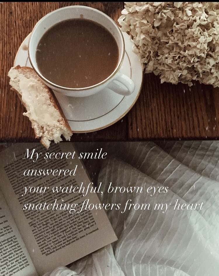My secret smile 
answered your watchful, brown eyes 
snatching flowers from my heart.

From True North. Releases September 22. Preorder here: amazon.com/True-North-Cai… #poetsofTwitter #micropoetry #poetrychapbook #WritingCommmunity