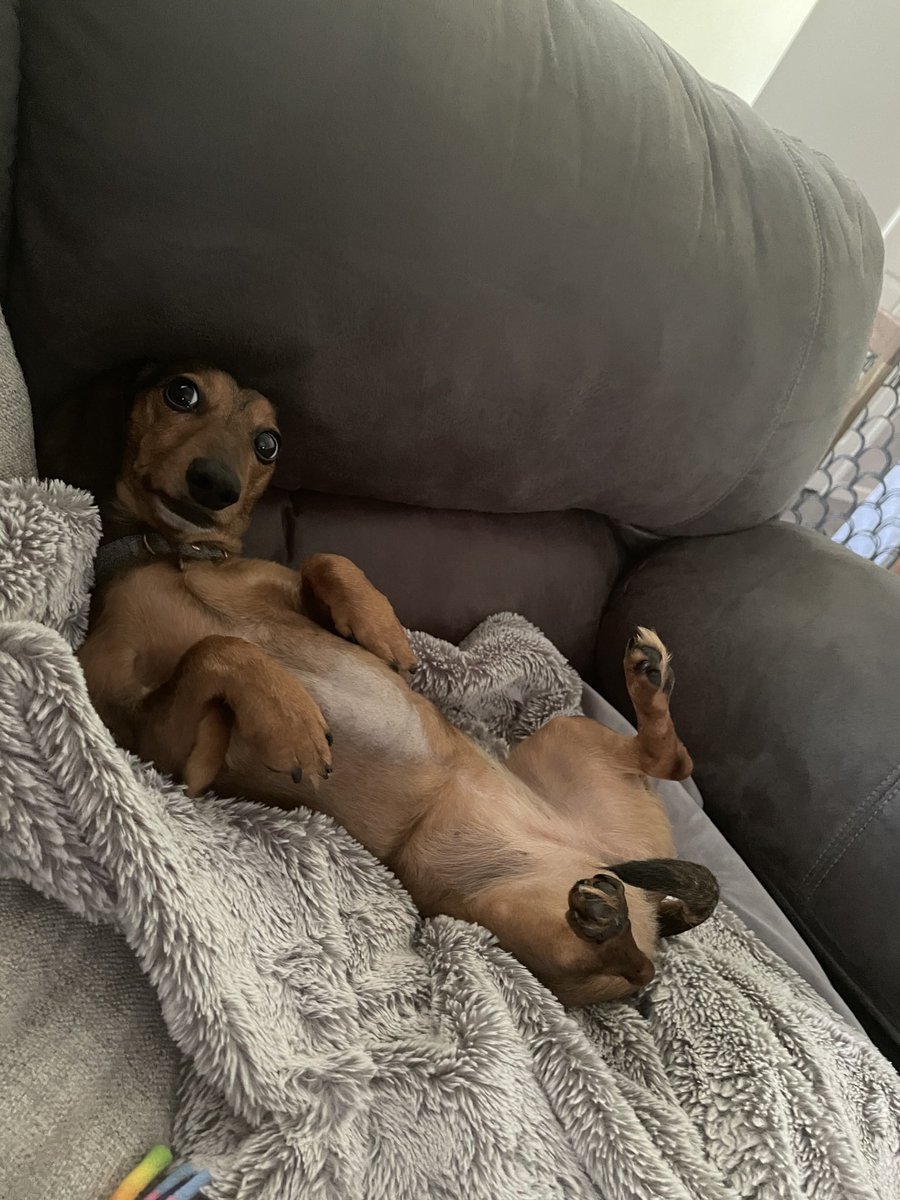 KateAlysse's tweet photo. HBD to the classiest ween around 🥳 https://t.co/RZsKDuCGKE