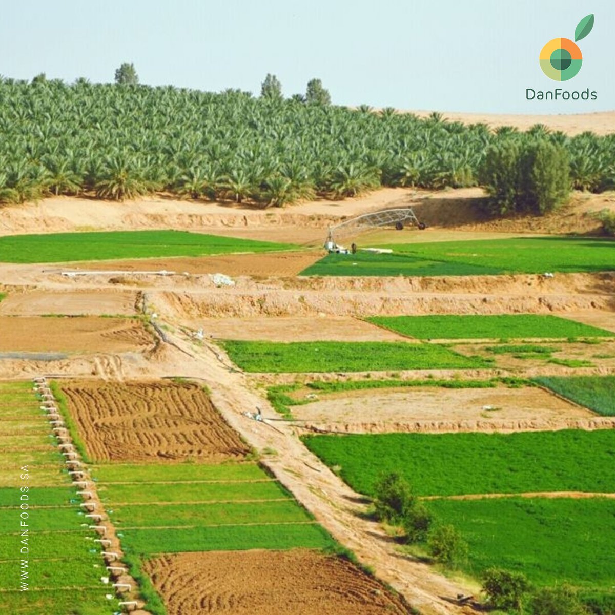 #رساله_lليوم أحد أهداف #دان_فوودز هو تشجيع ودعم المزارعين المحليين
one of our goals is to encourage and support local farmers 
#تنمو_معكم
 #danfoods #growing_together