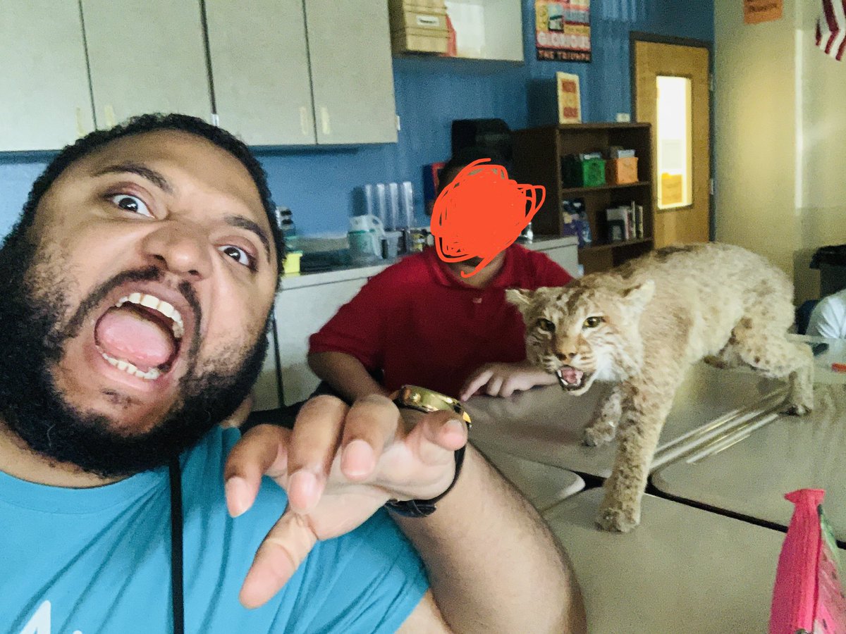 nathan_scottt's tweet photo. A bobcat wondered into the classroom today, so I had to get a selfie with it. https://t.co/Lz4ykg6zck
