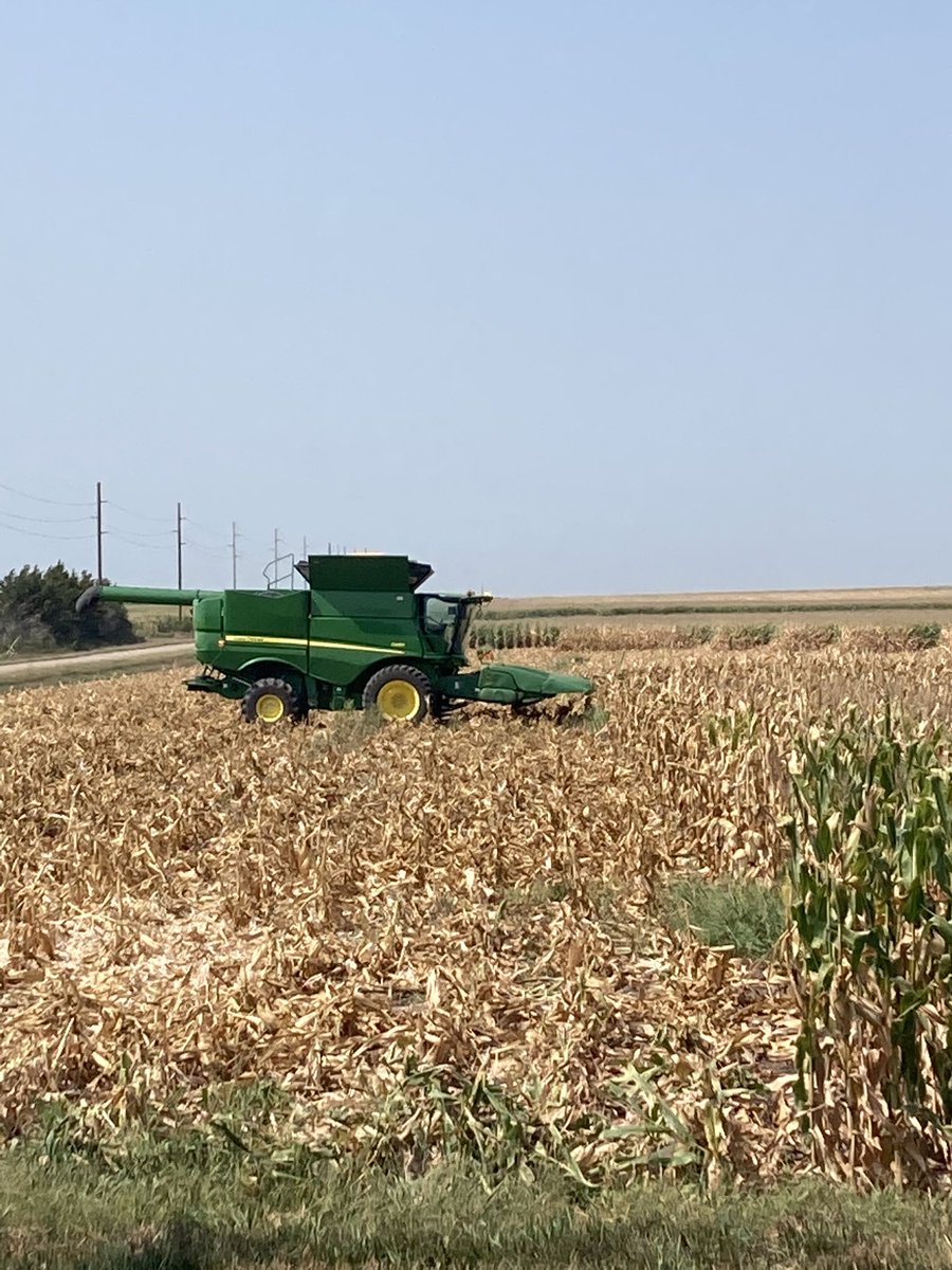 Phil High tweet media