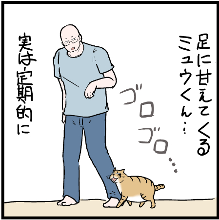 ミュウくんの甘え方、クセが強い!
 #ニャンコ #まんが #猫 #猫あるある #猫漫画 #ペット #飼い主 #エッセイ漫画 #キャット #猫のいる暮らし #4コマ 