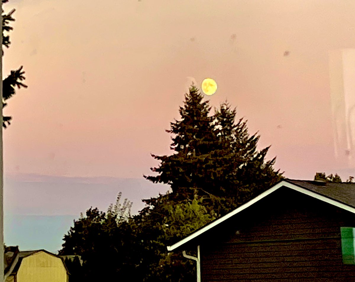 Almost #HarvestMoon sunset in Oregon #ManInTheMoon 🌝