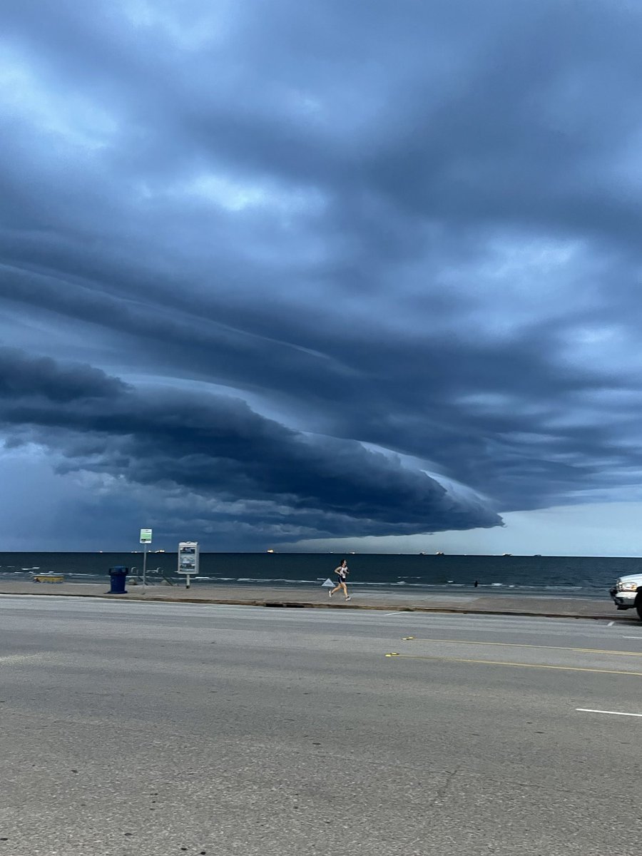GHugohills's tweet image. Nature having fun.
#observenature #gratitude #Galveston #SelfCareSeptember