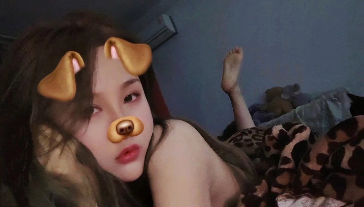 母犬养成 tweet media