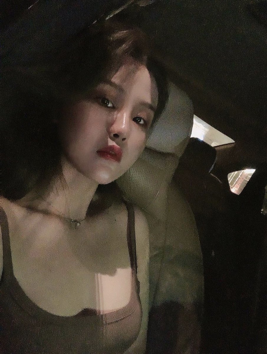 母犬养成 tweet media