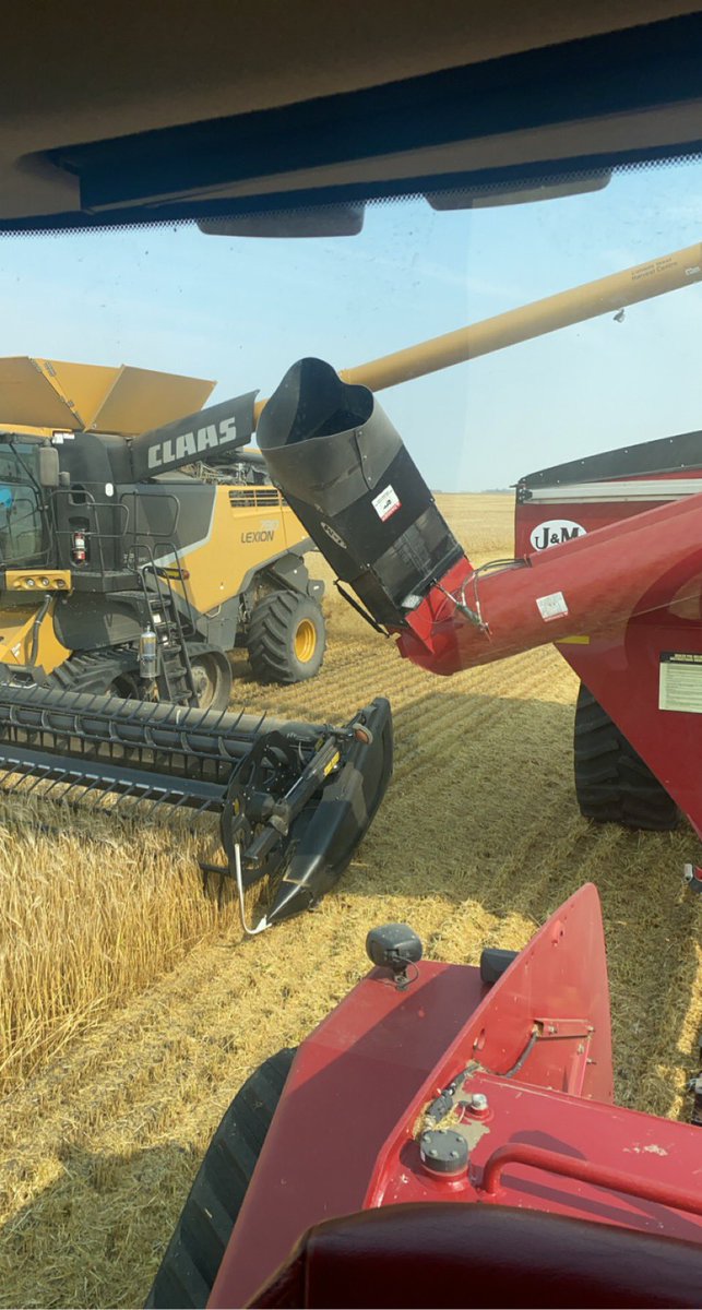 Amber Boxall tweet media