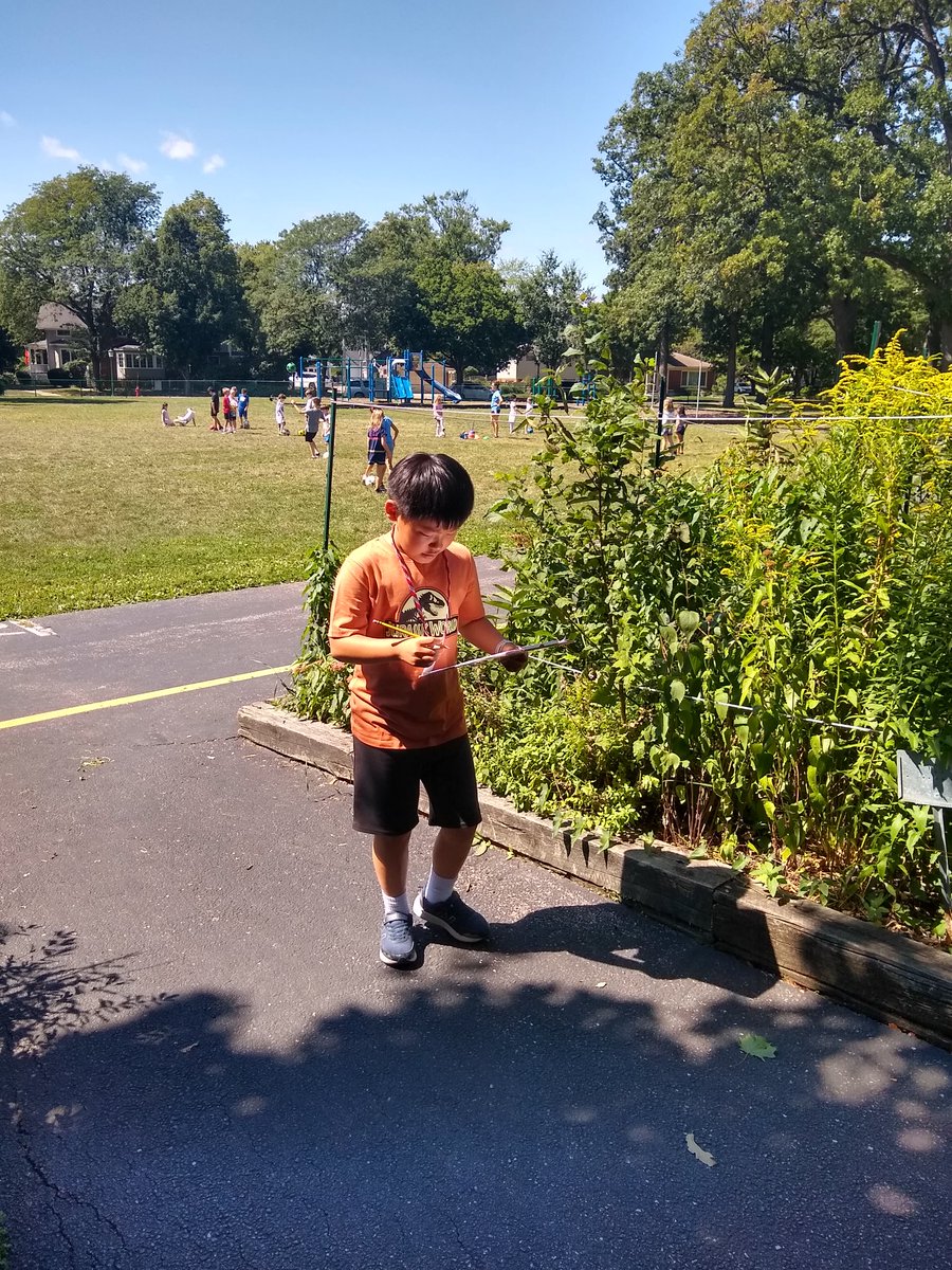 Today Room 202 scientists conducted their first investigation of the year in the beautiful McKenzie garden: Do more plants have leaves with branching veins or parallel veins ? #d39cheetahs