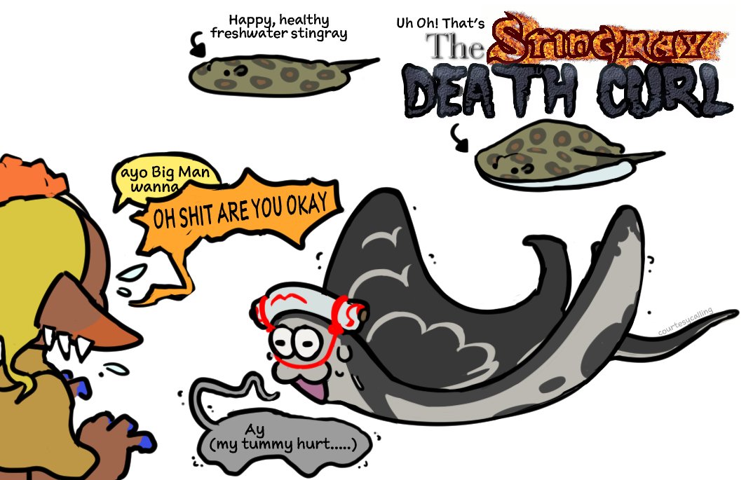 splatoon 3 funny moments ! TEAM GEAR on Twitter: “RT @thetruecourtesy