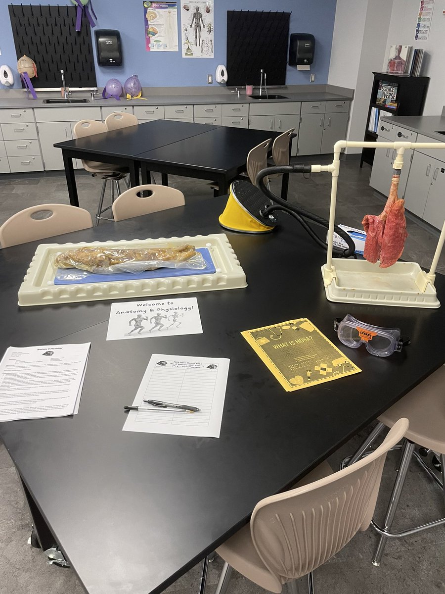 Tara Wood tweet media