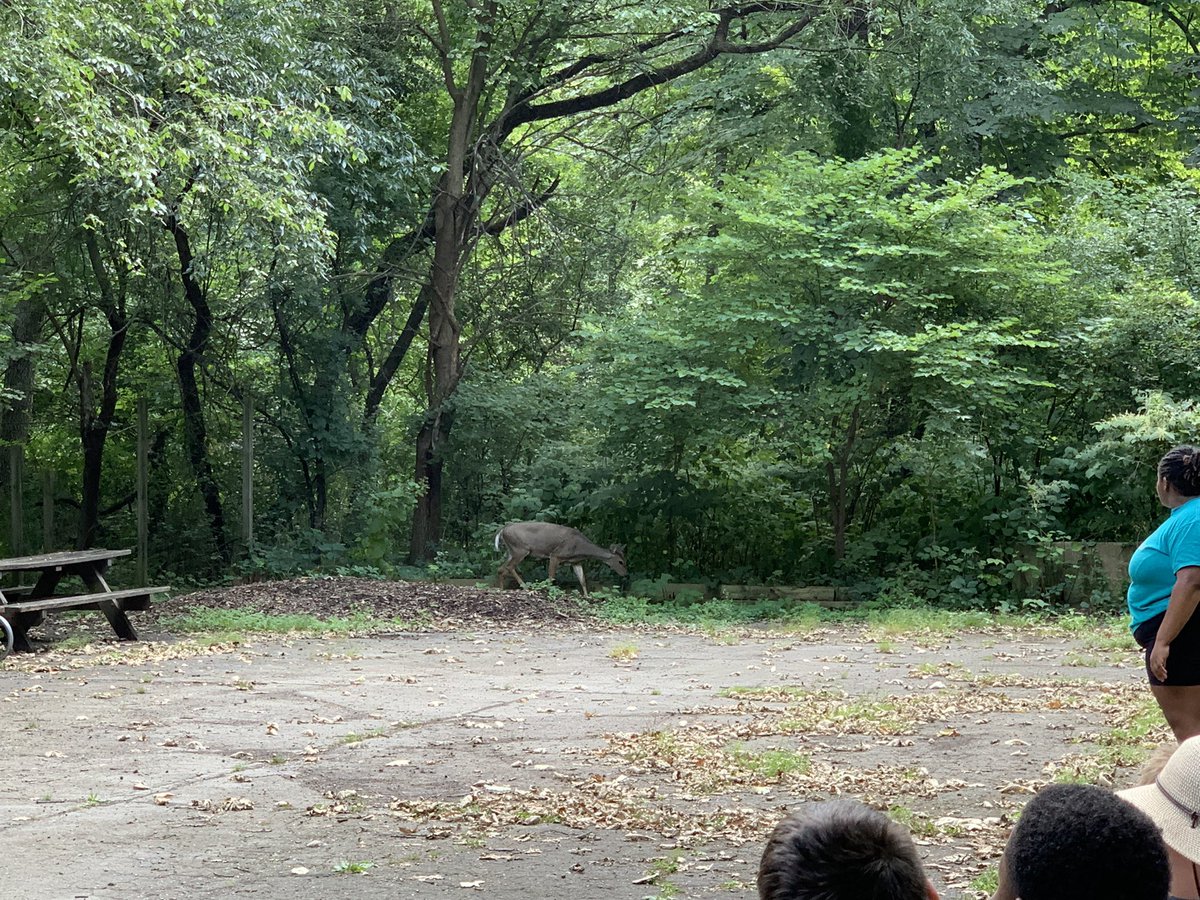 M_Hallman_OJH's tweet photo. Day 2 OJH kids doing some amazing things together! A few key words they walked away with are:communication, respect, listening, compromise, and teamwork. I witnessed so many beautiful things today! 💙💛#7thgraders #bethereason135 #deersighting #coolfungi @OJHEagles @OSD135 https://t.co/Nch9Pz128d
