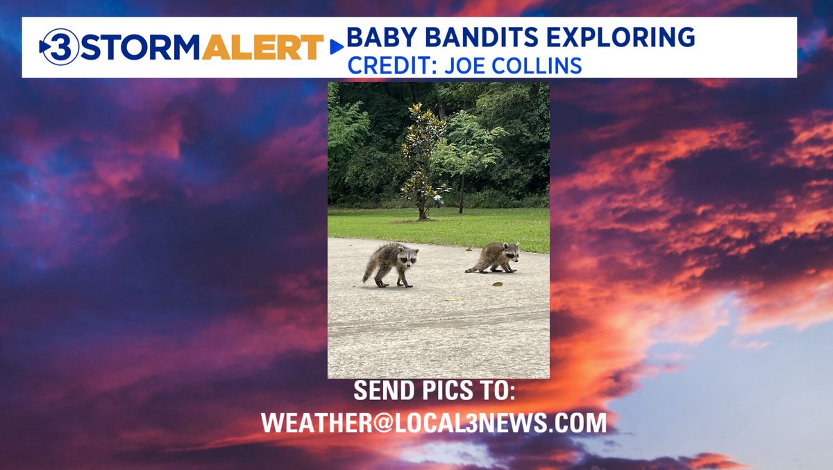 A couple of cool viewer pics that came in today.  Enjoy!! <a href="/DavidKarnes3/">David Karnes</a>