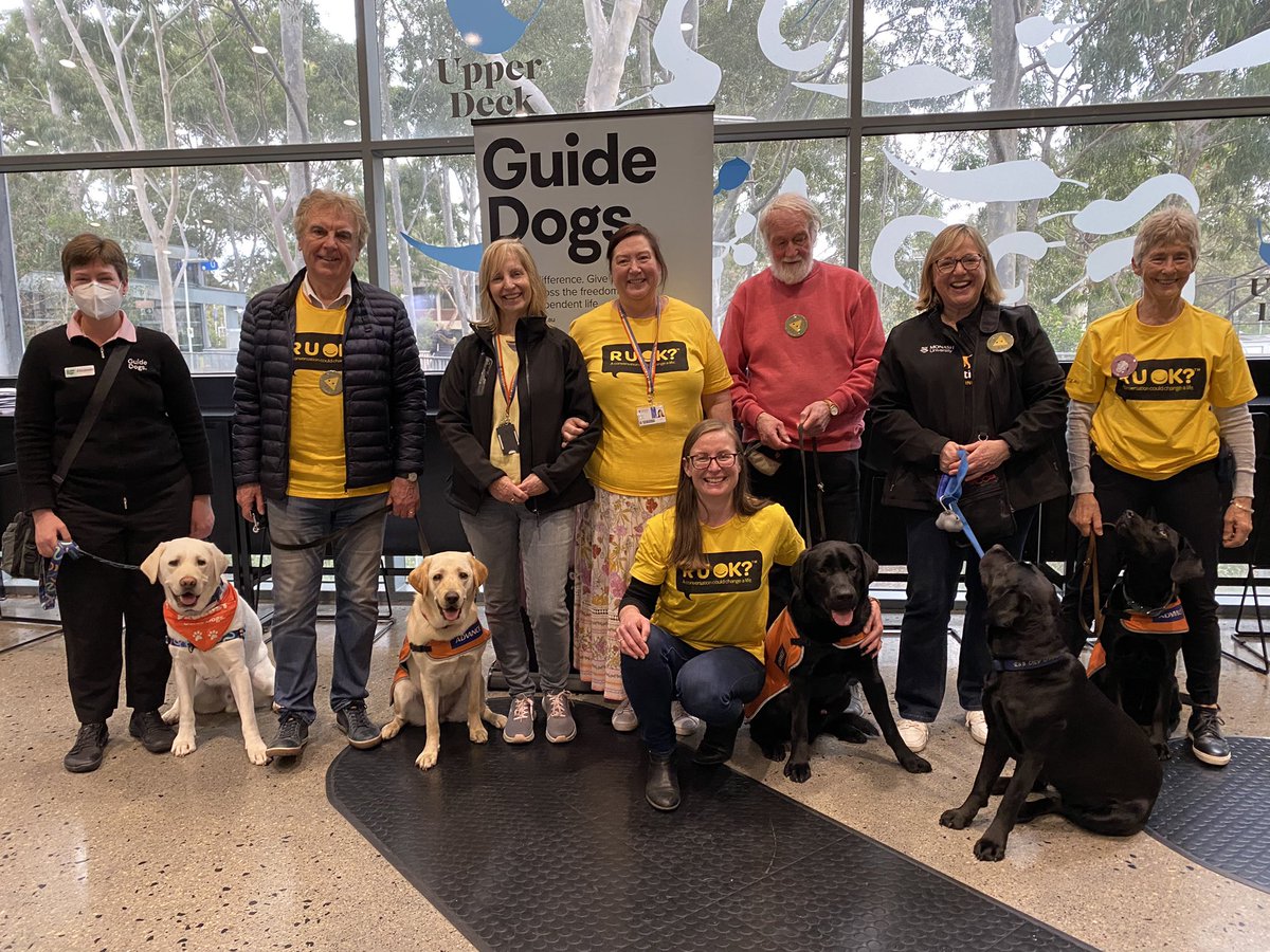 AislinnLalor's tweet photo. RUOK? 💛🐾🦮
Wonderful to have coordinated #guidedogsintraining onto @MonashUni #peninsula campus thanks to @GuideDogsVIC to check on staff &amp; students today 🙏🏻
[image: 8 people-some wearing yellow ruok tops-&amp; 5 Labrador dogs in front of a Guide Dogs banner looking at the camera] https://t.co/h6zQiw2rtu