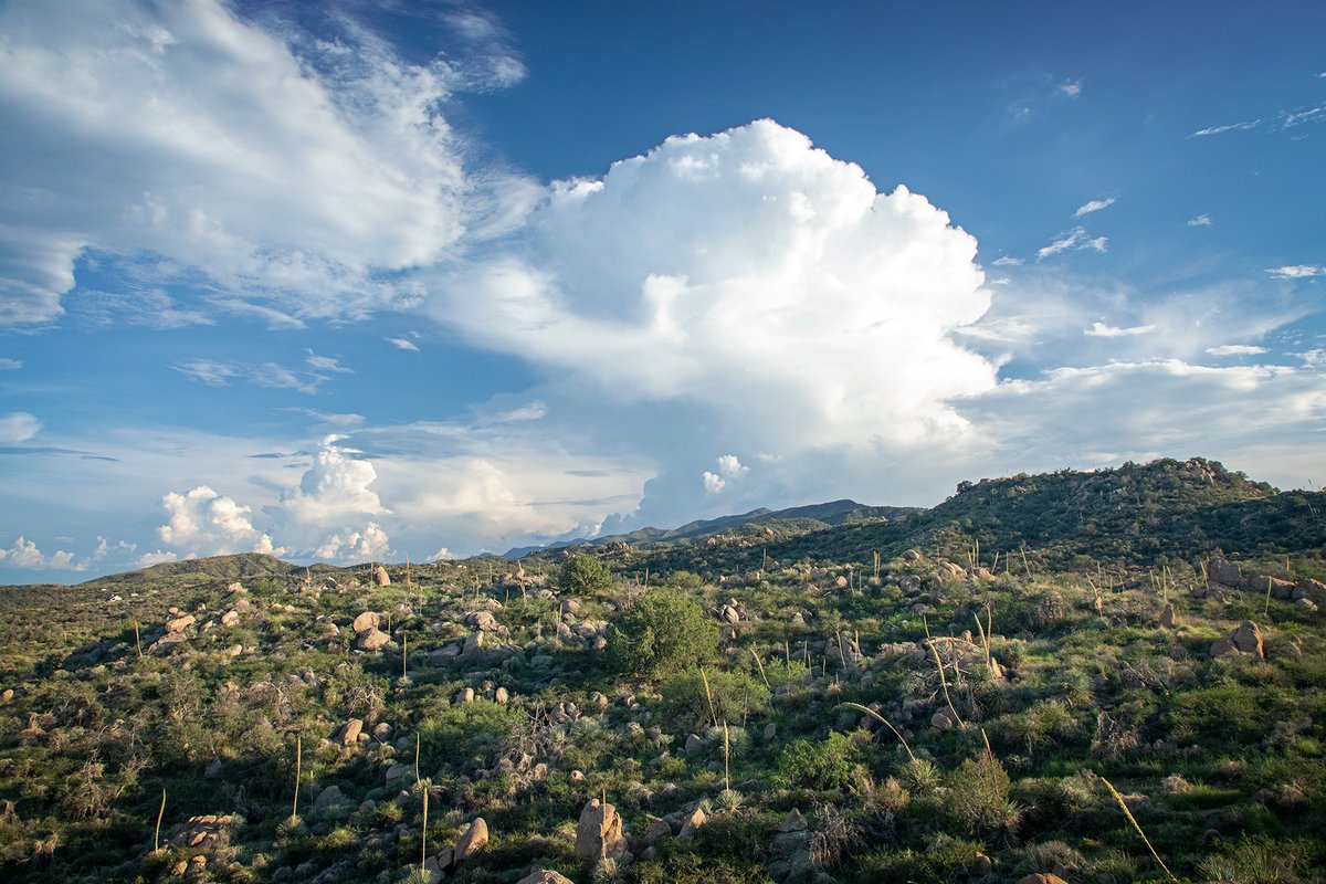 AZStateParks tweet picture