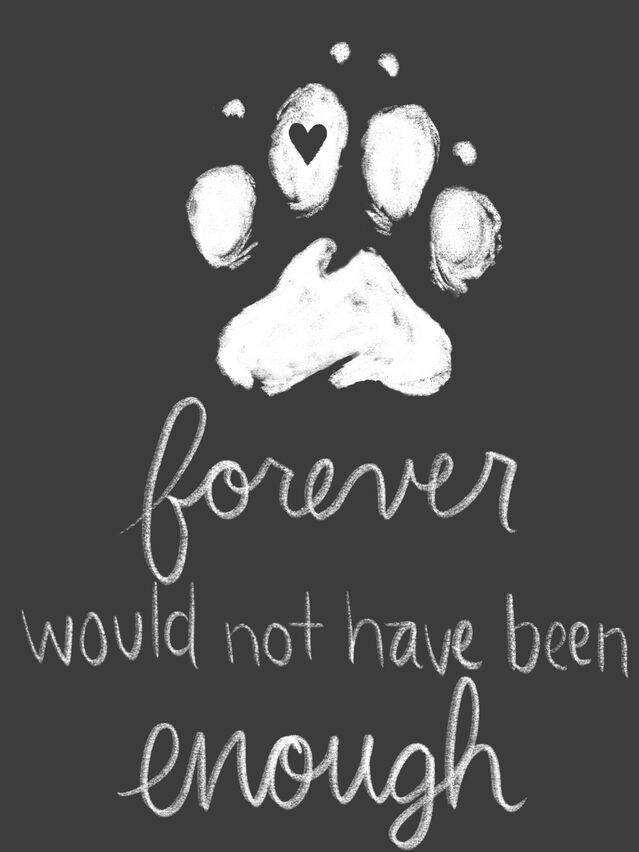 purdybloomers's tweet photo. My heart is broken … I know what I have to do… I love him too much to let him suffer. I have to love him more to let him go. https://t.co/lmKiFeP5KM