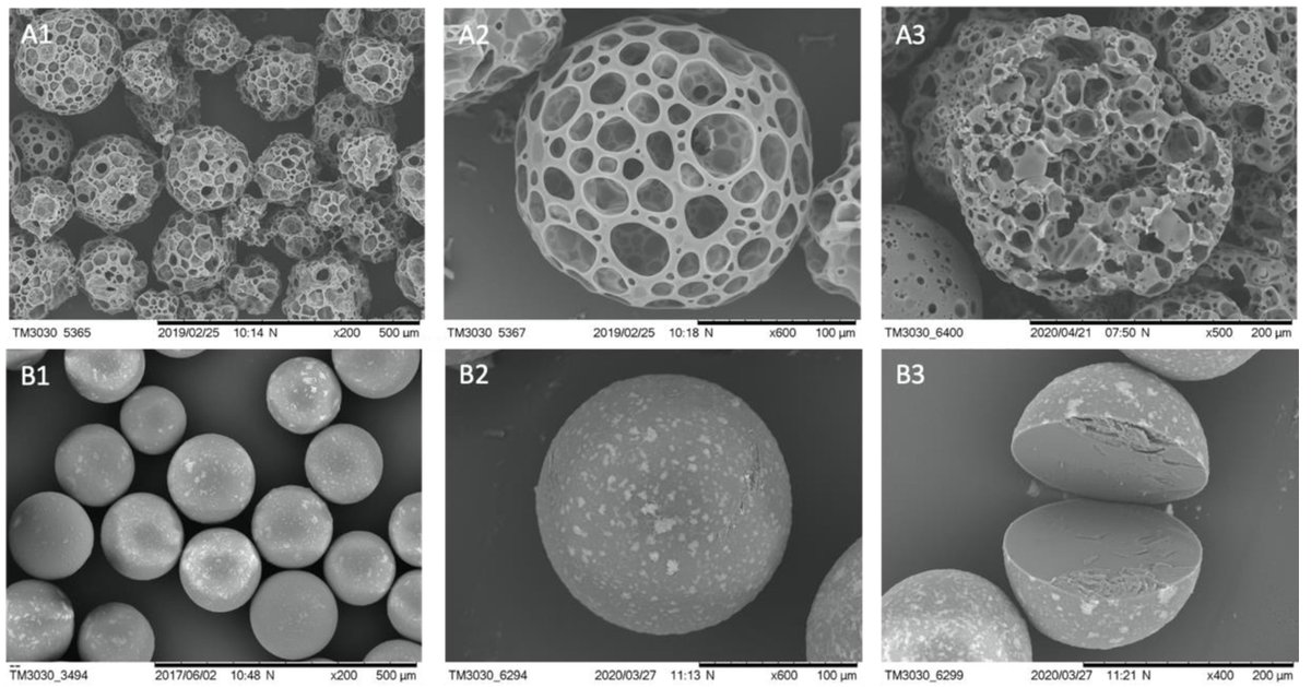 JFB_MDPI's tweet photo. Editor's Choice Paper @JFB_MDPI @ChemMatSci_MDPI
Title: Human Adipose Stem Cells (#hASCs) Grown on #Biodegradable #Microcarriers in Serum- and Xeno-Free Medium Preserve Their Undifferentiated Status
Paper link: https://t.co/dRWMKfLioH https://t.co/su71xgUPXp