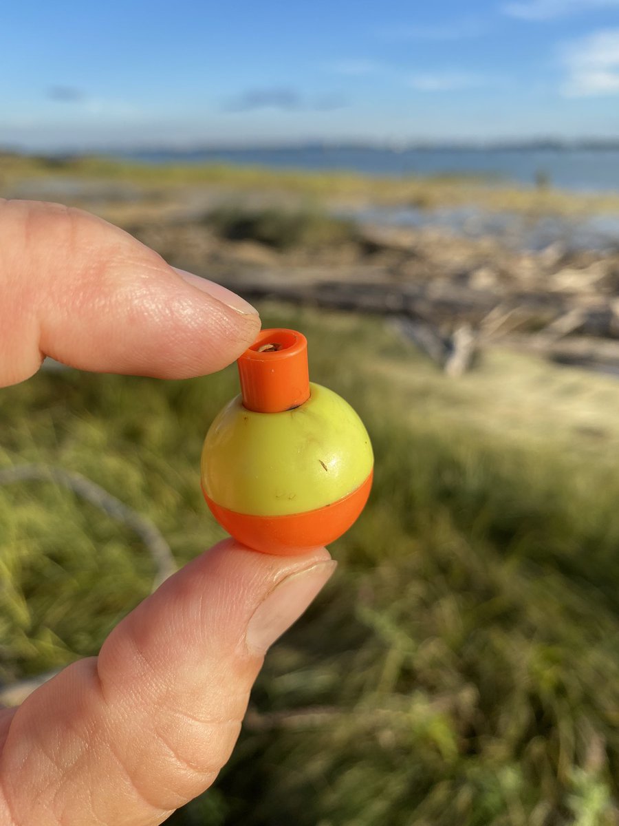 FraserRiverFind's tweet photo. Fishing gear question?
Is there a particular reason that some bobbers are yellow and orange as opposed to the common white and red type?
#fraserriverfinds
#fraserriver #gilbertbeach
#plasticpollution
#ghostgear https://t.co/VB8lHtKKaP