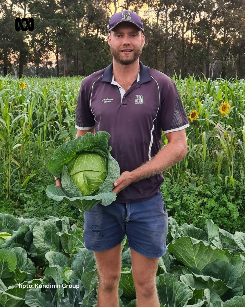 Innovative commericial vegetable, livestock and egg producer Jake Ryan has won the Excellence in Diversification Award. He's passionate about diversification, soil biological activity and the climate. #ausfarmerawards @WAFarmers