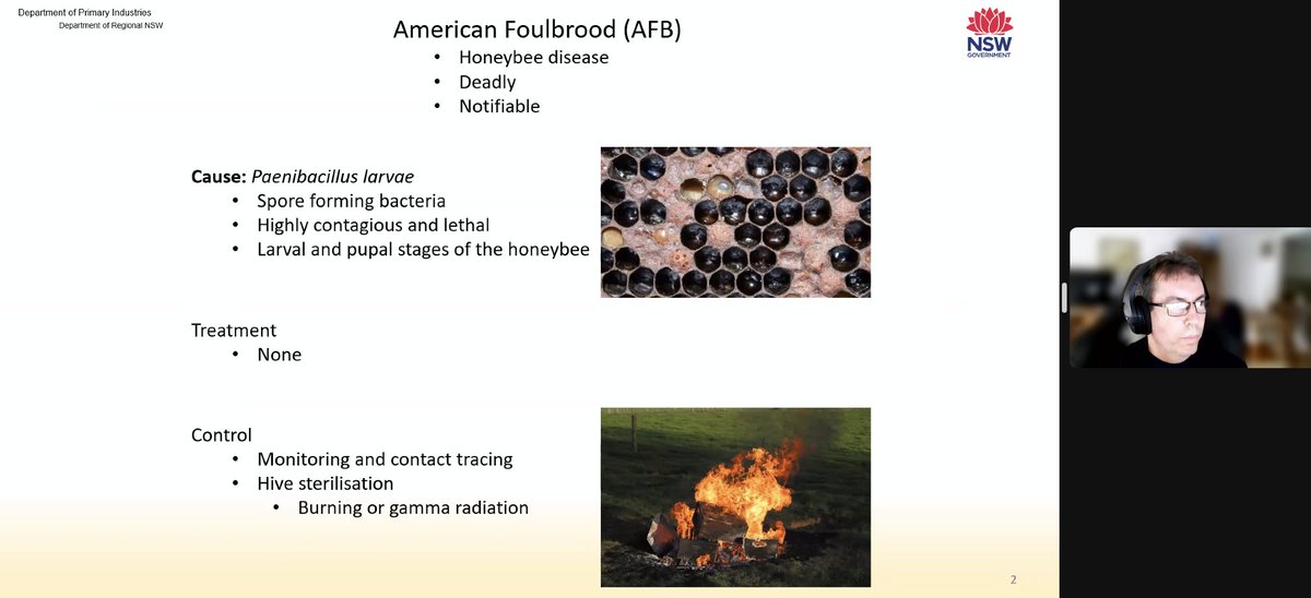 Next up is Paul Worden who’s sequenced 400 Australian Paenibacillus larvae isolates and compared them against many European P. larvae isolates. Spoiler alert: he’s found putative honeybee disease super spreaders!