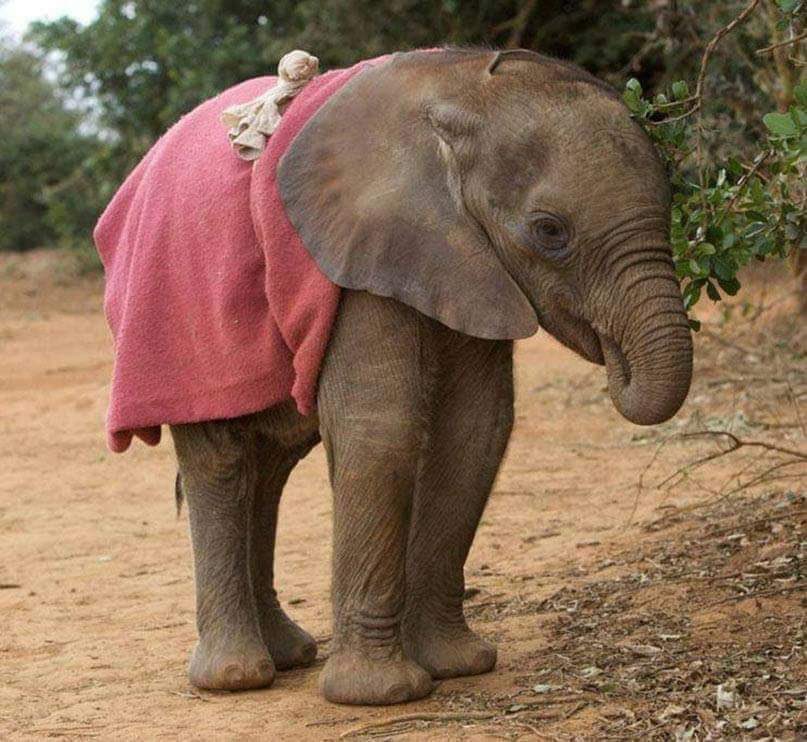 Today Years Old tweet media