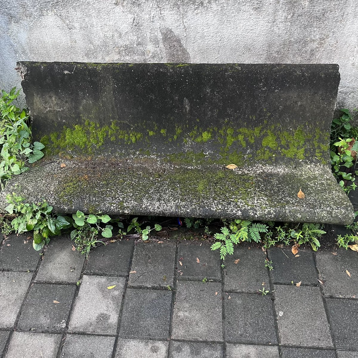 PradeepHardikar's tweet photo. Come. Rest a little. You may not find it easy to get up. Once a very good idea for senior citizens and young unmarried couples in Panchavati area, a bit funny situation after the footpath was redone. Do you have such gems in your area? 

#morningwalktalk #knowyourarea https://t.co/oP5PT9lmly
