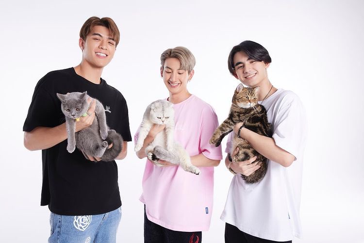 JossWayarofc's tweet photo. Tribute releases Cat Supremacy designed with Thai actors Joss Wayar, Toptap Jirakit and Drake Laedeke. Buy a shirt, help a cat! 

#TRIBUTE #트리뷰트 #ContributeWithTribute #OptToAdopt
#JossWayar https://t.co/ntedTU4SvL