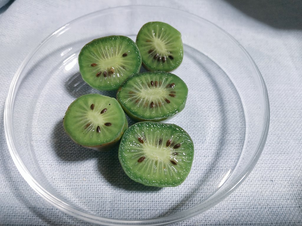 D Fruchtliebhaberin さるなし 青森県産 マタタビ科 平べったい楕円形で表面はすべすべ きれいな緑色 別名ベビーキウイの通りキウイのミニチュア版のよう 食感はこちらの方が滑らかです 熟すと柔らかく甘くなります 品種不明 サルナシ 猿梨