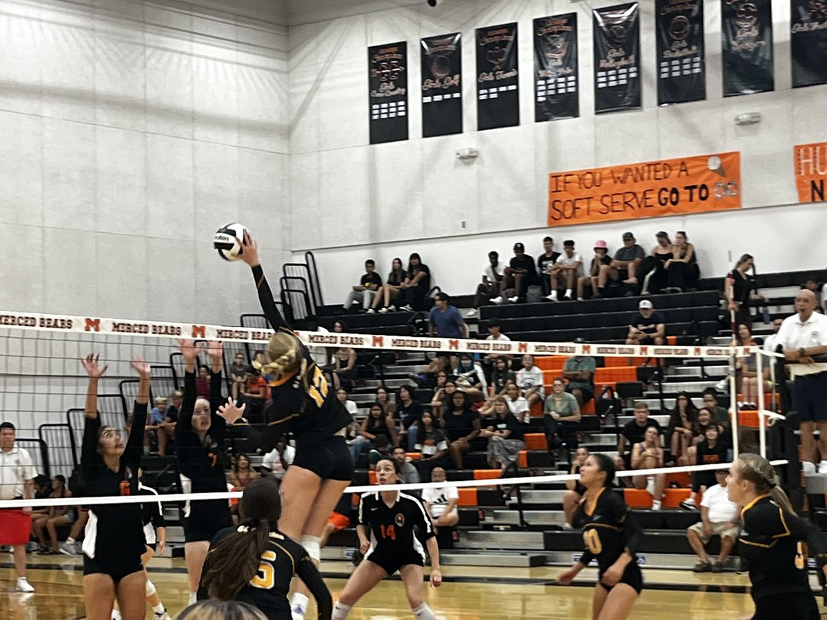 Megan Cope tweet media