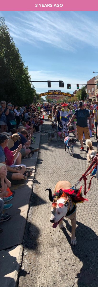 fandomthingpod's tweet photo. My late dog, Schroeder, and I three years ago at a pet parade for the shelter I adopted him from. Can you guess what we were dressed as? Also adding a pic featuring Fergie in a bandanna. #PodcastDogs https://t.co/tgvJUHRjZO
